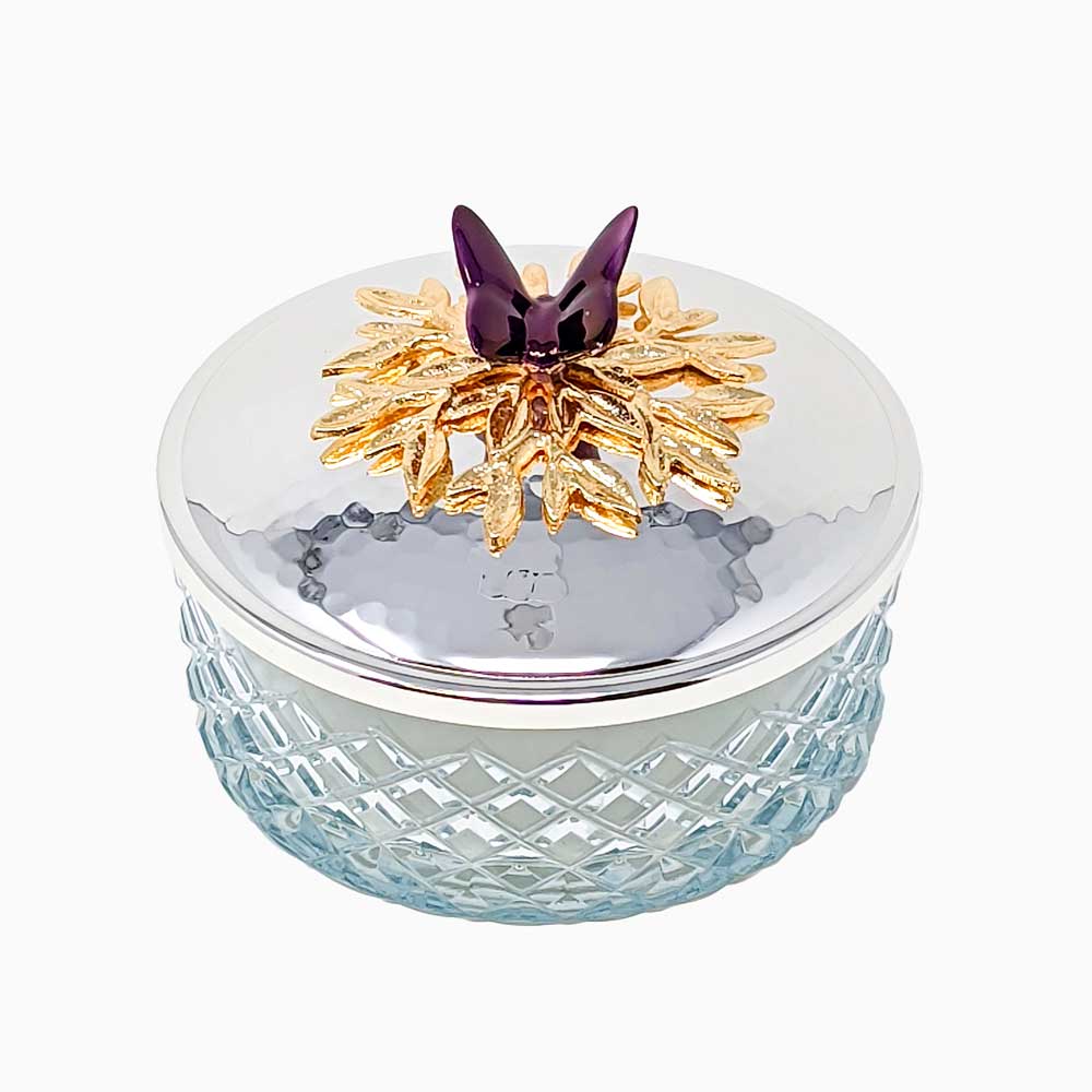 LARGE SNACK JAR WITH BUTTERFLY SILVER LID