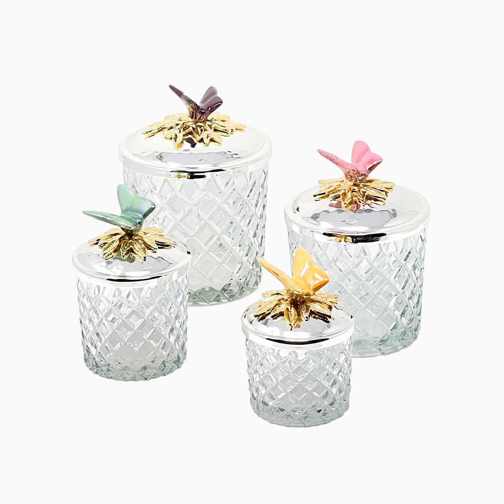 SNACK JAR WITH BUTTERFLY SILVER LID, SIZE #4